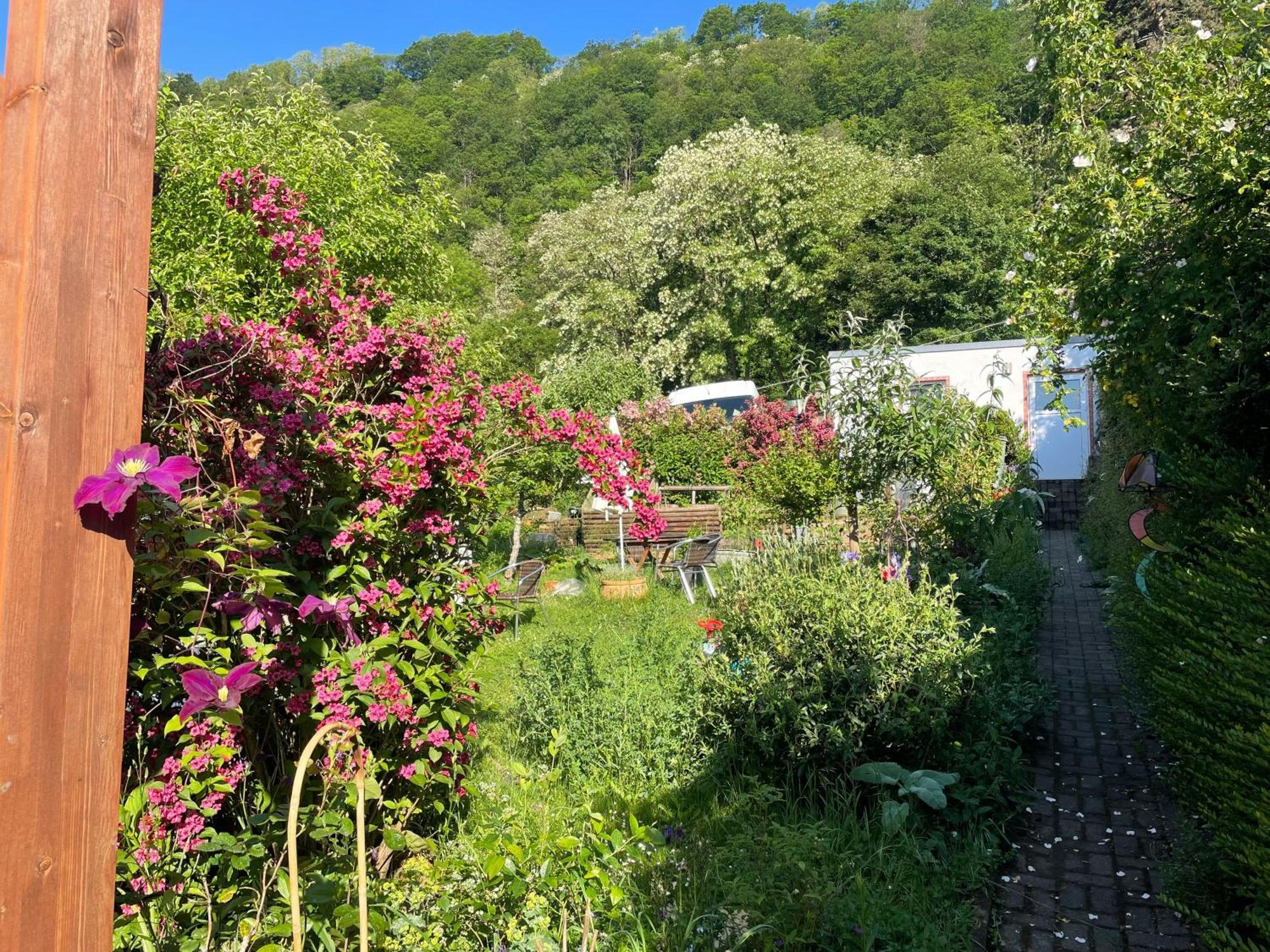 Blick Ins Gruene, Nah Am Zentrum Trevír Exteriér fotografie